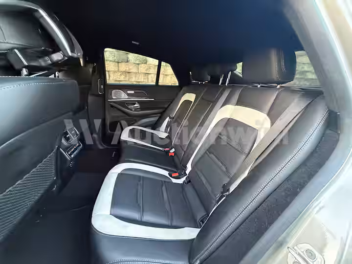 Mercedes Benz GLE Class 2021 — 39