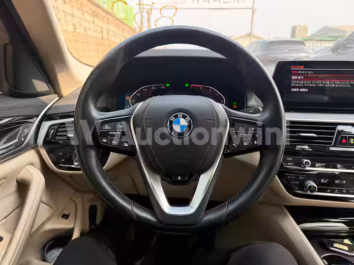 BMW 5 Series 2020 — 31
