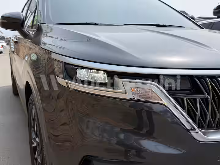Kia Carnival 2021 — 11