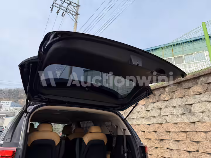 Kia Carnival 2021 — 26
