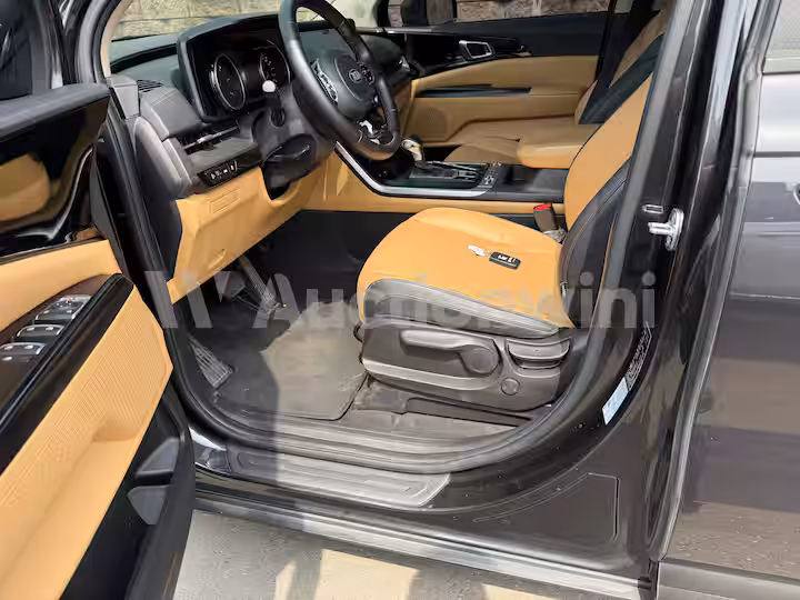 Kia Carnival 2021 — 29