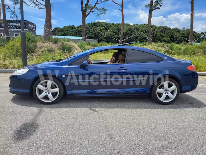 Peugeot 407 2007 — 3