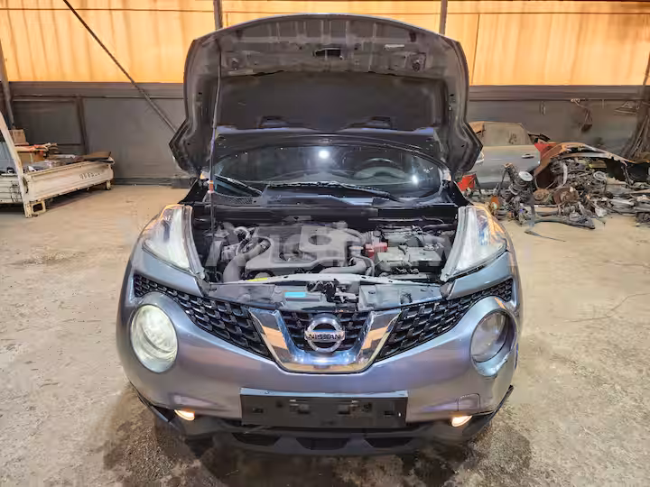 Nissan Juke 2017 — 12