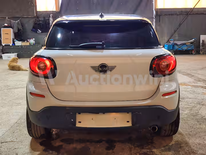 Mini Paceman 2013 — 4