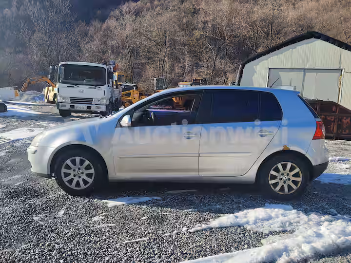 Volkswagen Golf 2008 — 3
