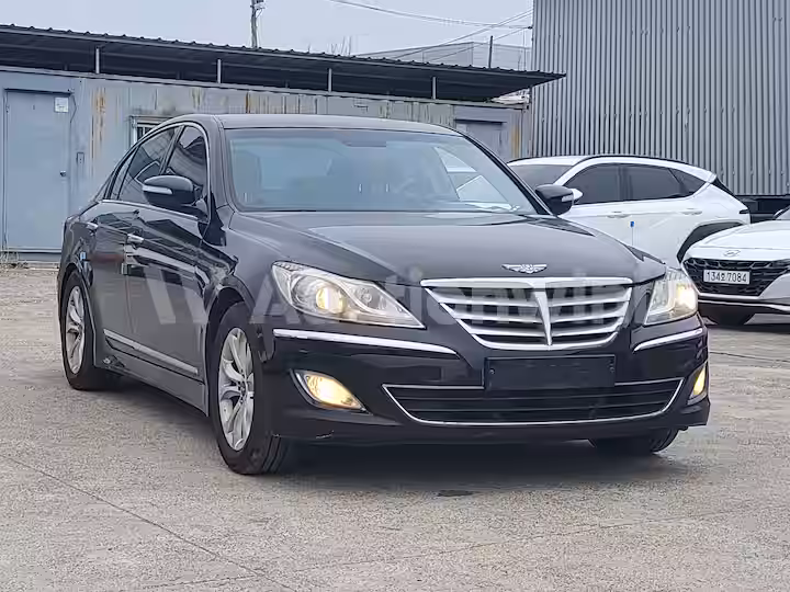 Genesis BH 2013 — 8