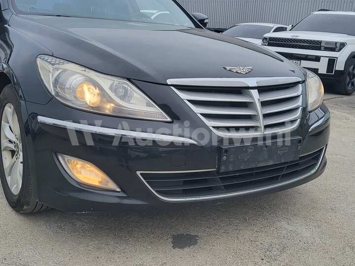 Genesis BH 2013 — 10