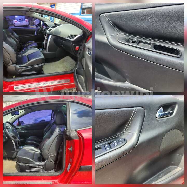 Peugeot 207 2007 — 17