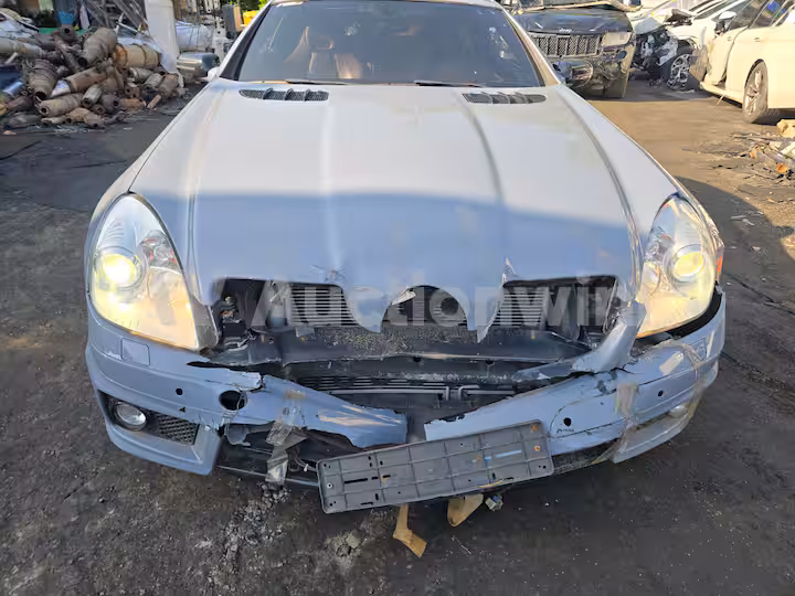 Mercedes Benz SLK Class 2006 — 8