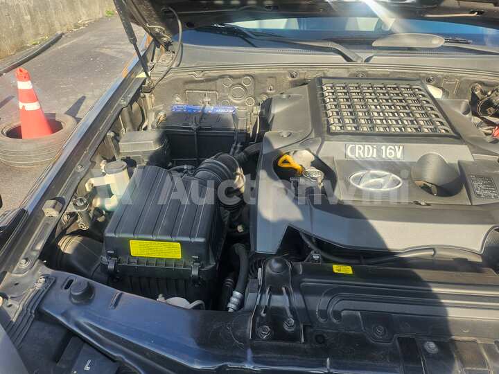 Hyundai Terracan 2004 — 17
