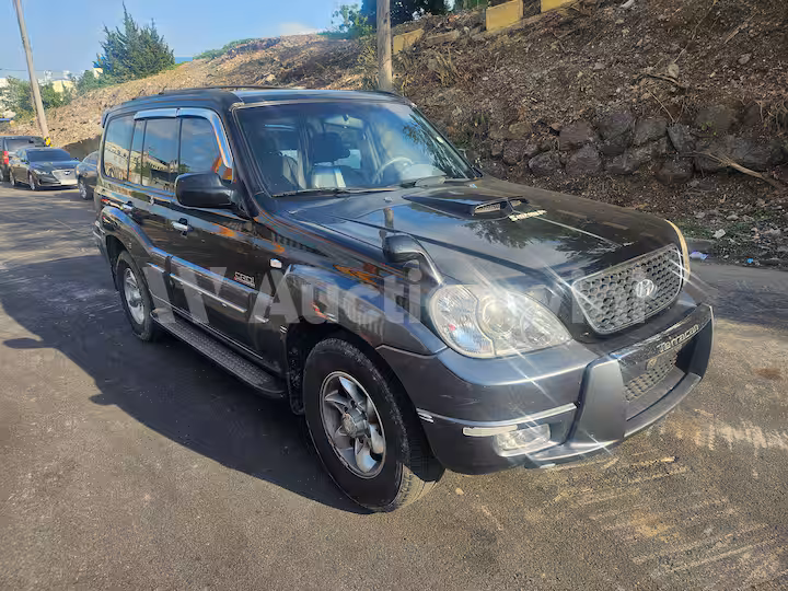 Hyundai Terracan 2004 — 8