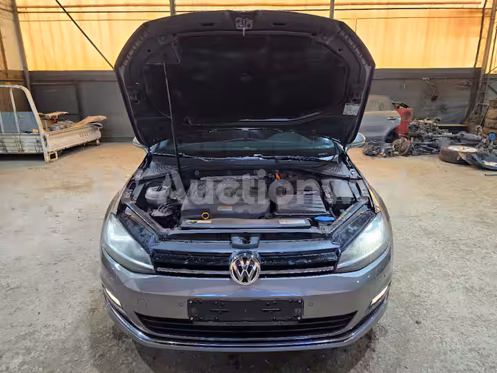 Volkswagen Golf 2014 — 12