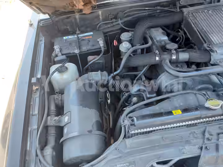 Hyundai Galloper 2000 — 23