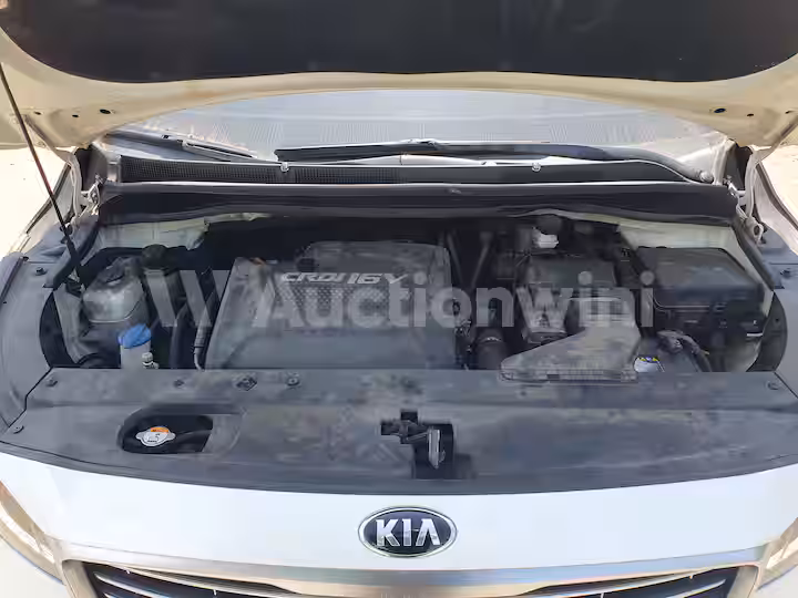 Kia Carnival 2017 — 19