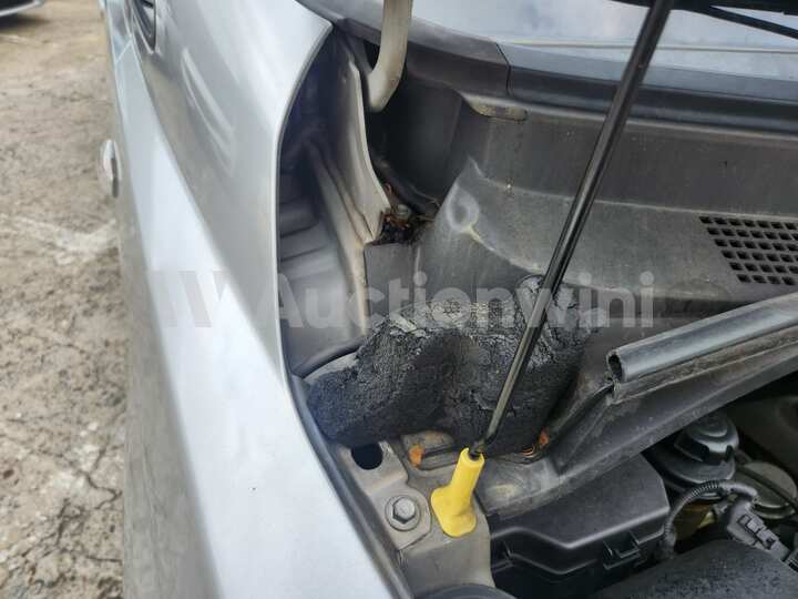 Hyundai Starex 2009 — 13