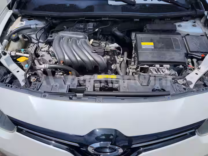 Renault SM3 2015 — 61