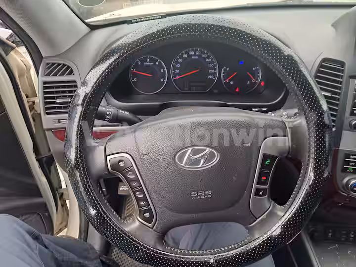 Hyundai SantaFe 2010 — 21