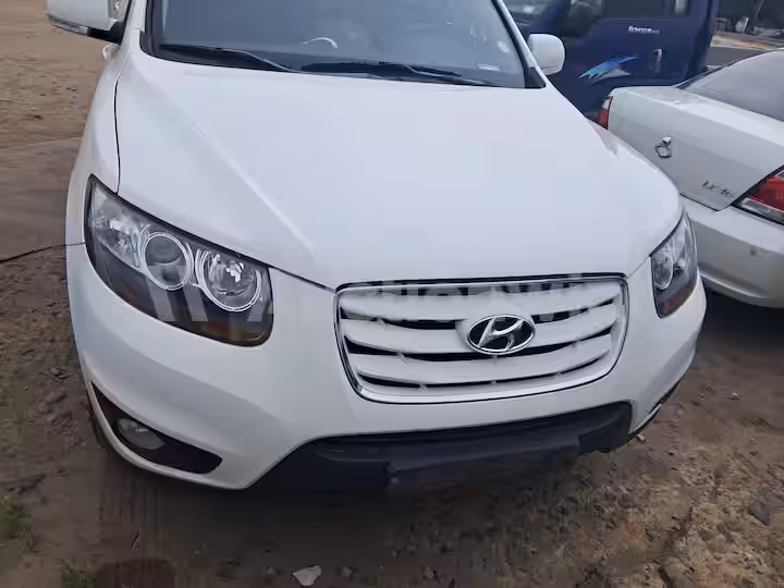 Hyundai SantaFe 2010 — 10