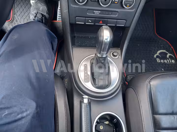 Volkswagen Beetle 2013 — 43