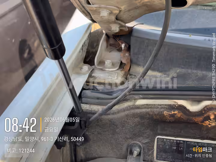 Hyundai Starex 2016 — 32