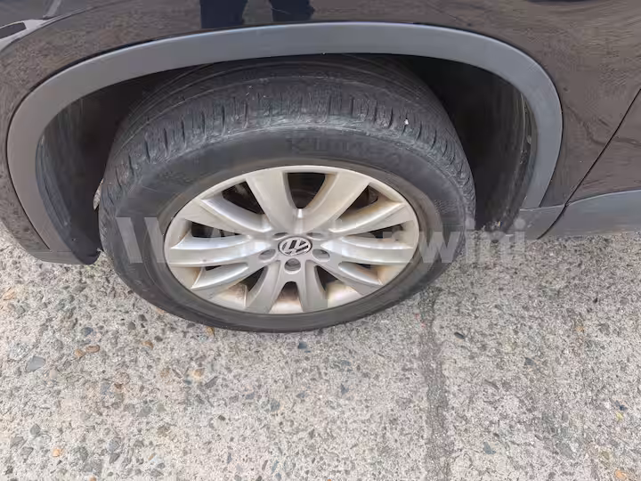 Volkswagen Tiguan 2009 — 12