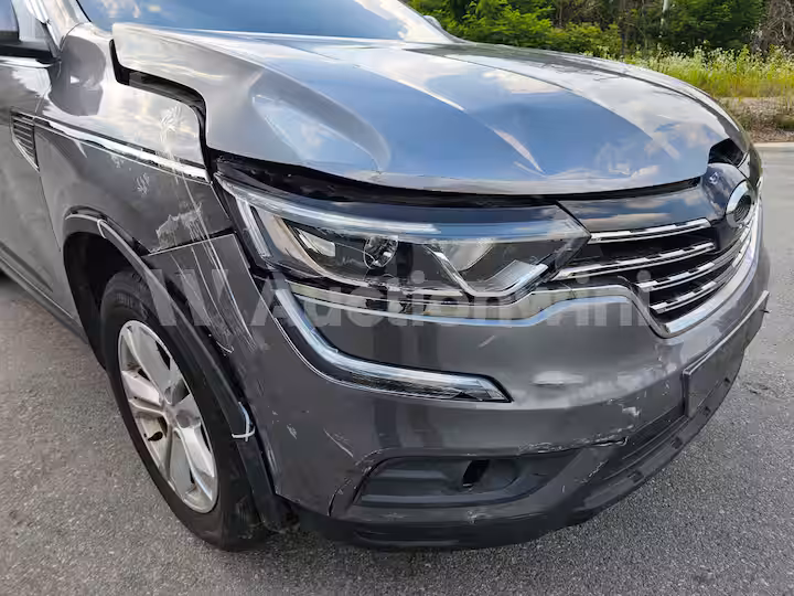 Renault QM6 2019 — 53