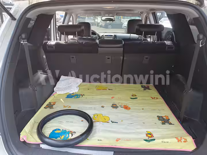 Hyundai SantaFe 2010 — 20