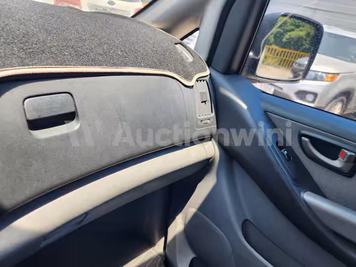 Hyundai Starex 2009 — 31