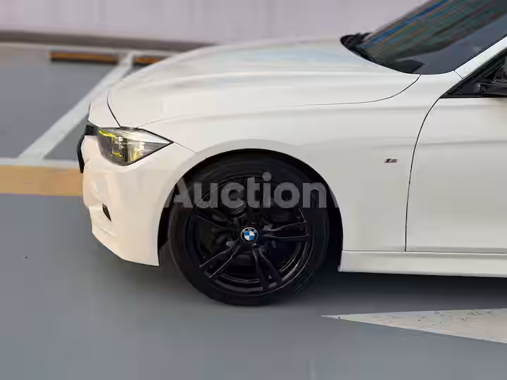 2018 BMW 3 Series (F30) — 5
