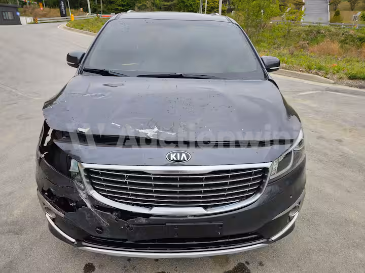 Kia All New Carnival 2016 — 2