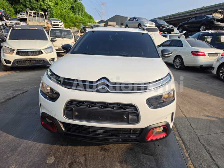 Citroen C4 Cactus 2019 — 2