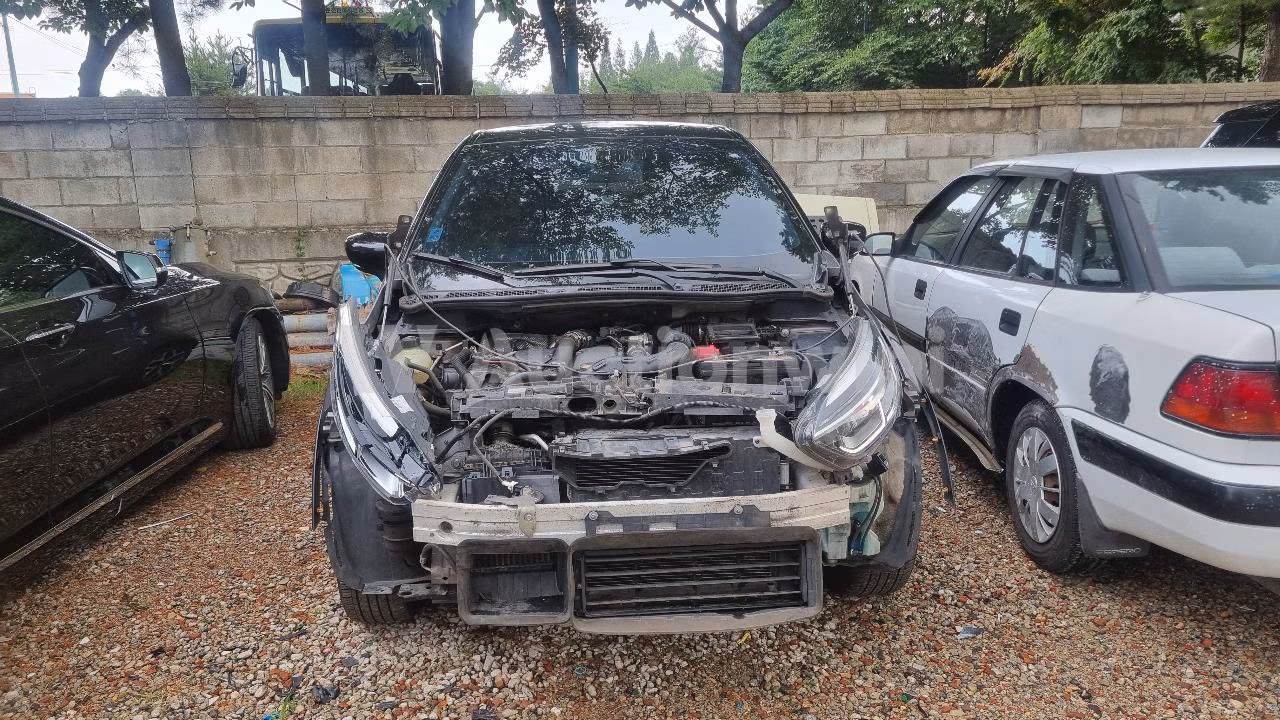 Renault QM3 2018 — 2