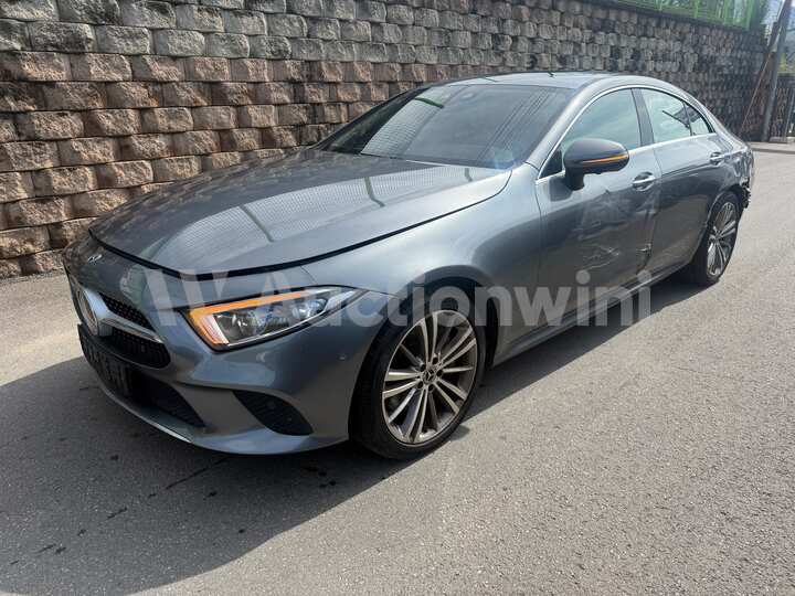 Mercedes Benz CLS Class C257 2019 — 2