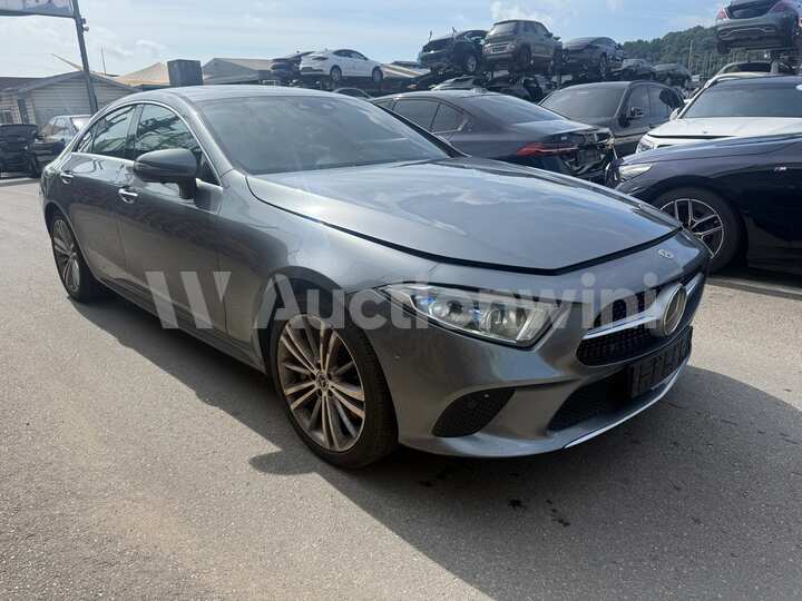 Mercedes Benz CLS Class C257 2019 — 4