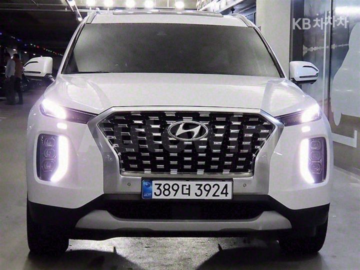 Hyundai Palisade 2020 — 2