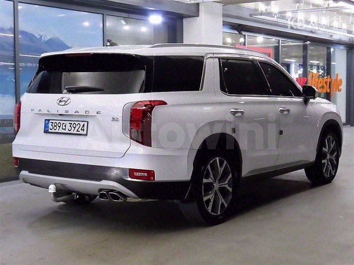 Hyundai Palisade 2020 — 4
