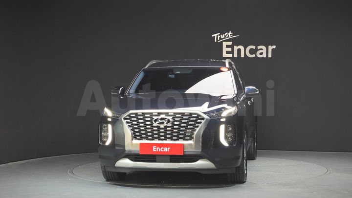 Hyundai Palisade 2019 — 3