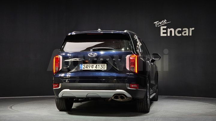 Hyundai Palisade 2019 — 4