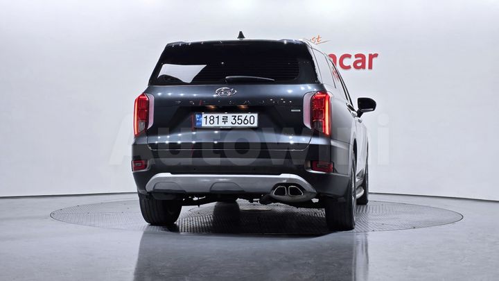 Hyundai Palisade 2019 — 4