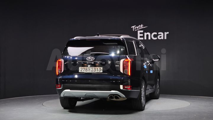 Hyundai Palisade 2019 — 4