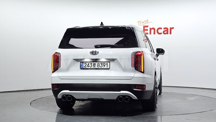 Hyundai Palisade 2019 — 4