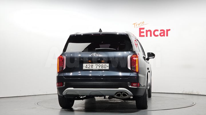 Hyundai Palisade 2019 — 3