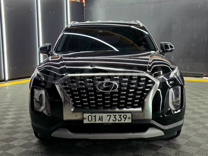 Hyundai Palisade 2019 — 3