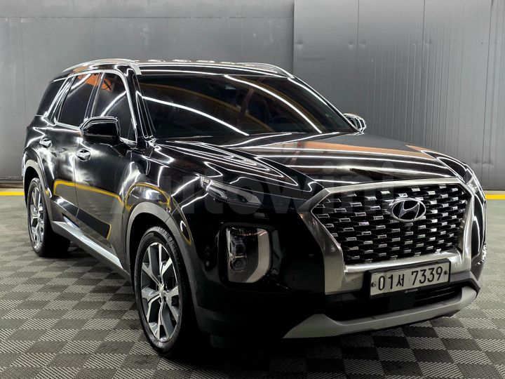 Hyundai Palisade 2019 — 4
