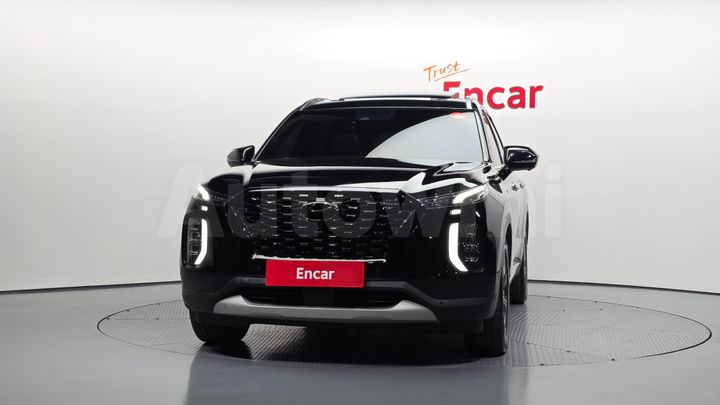 Hyundai Palisade 2019 — 3