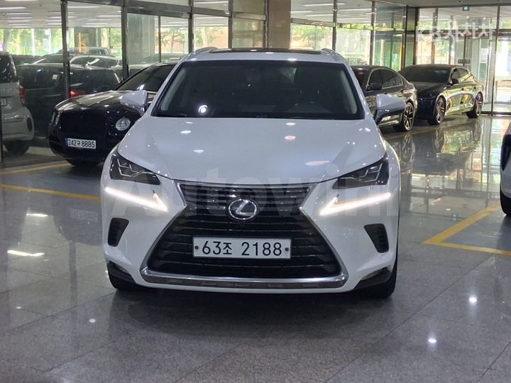 Lexus NX 2018 — 2