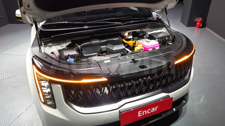 Kia Carnival 2025 — 5