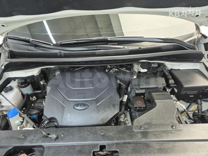 Kia Carnival 2019 — 5