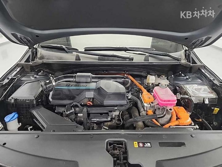 Kia Sportage 2023 — 5