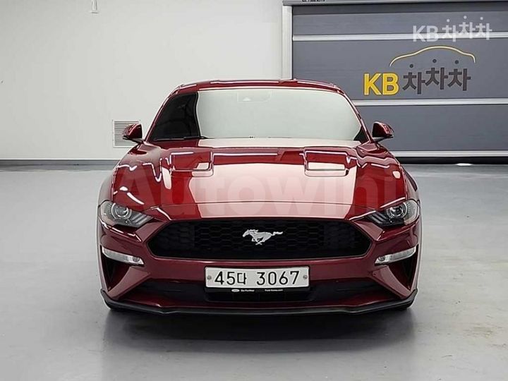 Ford Mustang 2019 — 2